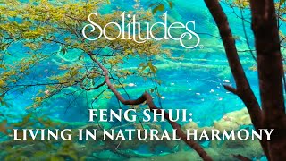 Dan Gibson’s Solitudes  The Purest Water  Feng Shui Living in Natural Harmony [upl. by Avan]