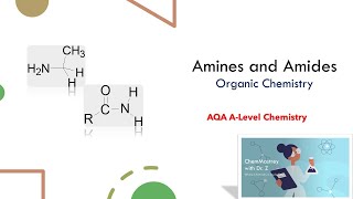 Amines and Amides Organic chemistry A level AQA Chemistry [upl. by Beard]