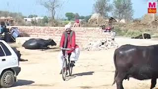 Haryanvi comedy ramer Randa [upl. by Naehgem281]