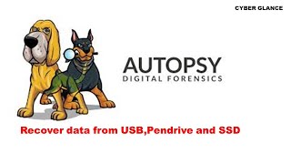 How to recover from Pendrive and ssd  how to recover data from autopsy   autopsy [upl. by Nagaer370]