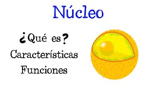 🌐 ¿Qué es el Núcleo 💥 Características y Funciones Fácil y Rápido  BIOLOGÍA [upl. by Ahsima861]