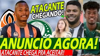 Verdão Aceitou ATACANTE Vai ANUNCIAR amp HULK Pra CONTRATAR NOVOS REFORÇOS Já CHEGARAM FINAL Amanhã [upl. by Thrift567]