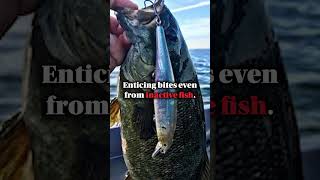 Pointer 128SP  The Winning Lure You Need for More Catches【04 05 06 07 09 10 11】 [upl. by Ydde690]