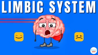 Emotions and the Brain What is the limbic system [upl. by Llerahc]