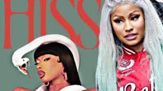 Megan Thee Stallion  HISS Acapella lyrics [upl. by Akaya]