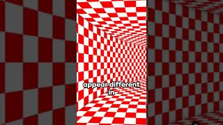 Top 10 Mind Bending Art Illusions [upl. by Ilrak]