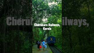 8 MOST GREENEST amp SCENIC RAILWAYS OF INDIA 🇮🇳😍❤‍🔥✌😌 🚏🚇shorts youtubeshorts railway [upl. by Idissak]