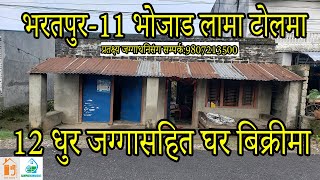 चितवन भरतपुर भोजाड लामाटोलमा घरसहित घडेरी बिक्रीमा ।CHEAP HOUSE ON SALE IN CHITWAN BHARATPUR jagaa [upl. by Emad]