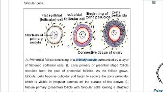 Ovarian cycle and Ovulation [upl. by Jala]