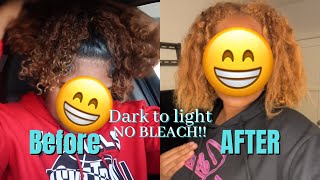 How To Lighten Hair WITHOUT Bleach😱 Hydrogen Peroxide amp Baking Soda [upl. by Neeruan]