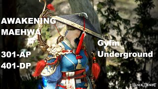 BDO Awakening Maehwa 301AP Gyfin Underground Combo [upl. by Godliman]