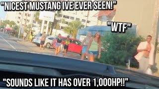 REACTIONS to the LOUD Widebody Mustang Breaking Necks [upl. by Shushan]