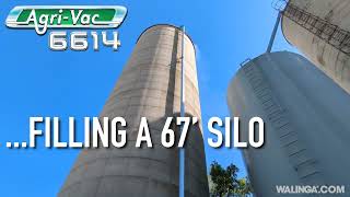 Walinga 6614 AGRI VAC blowing wheat into a silo [upl. by Allimac78]