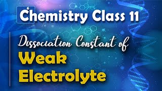 Dissociation Constant of Weak Electrolyte  Chemical Equilibrium  Chemistry Class 11 [upl. by Abbotson]