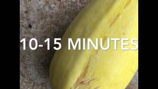 How to Cook a WHOLE Spaghetti Squash in the Microwave [upl. by Neirb319]