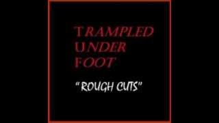 Trampled Under Foot  Walkin and cryin [upl. by Emse]