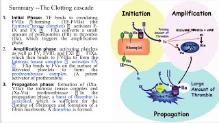 Coagulation cascade and cofactorsanticlotting mechanismsTFPIbleeding disorder شرح مُفصل [upl. by Aelahc]