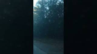 Driving down Stillwater Ave hill in Orono Maine Thursday November 14th 2024 [upl. by Merritt]