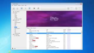 Playlists amp Local Files  KaraFun  Karaoke Software [upl. by Milena]