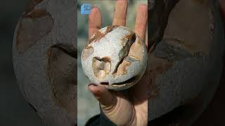 How fast can a limestone cannonball go  Mythbusters  Science Channel [upl. by Ellenaj190]