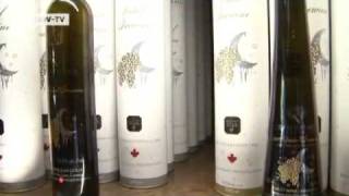 Wine Growing in Canada  Global 3000 [upl. by Chouest801]