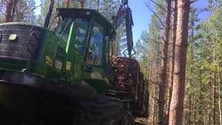 John Deere 1110D Eco 3 Straight Pipe Sound [upl. by Hultin]