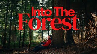 Into The Forest  Cinematic [upl. by Trisha]