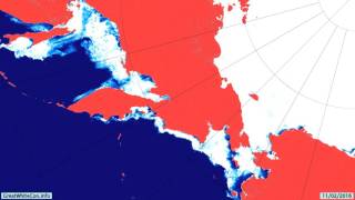 Movement of Sea Ice North of the Pacific in Early 2016 [upl. by Eseeryt]