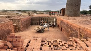 Comprehensive Red Bricks Production Process  How Red Bricks are Made in Traditional Coal Kiln [upl. by Noral6]