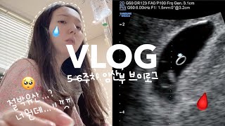 ᴠʟᴏɢ🤰🏻ㅣ아기가 심장은 뛰는데 절박유산이요 갑작스런 하혈로 입원생활 그리고 입덧 시작 임신 56주차 브이로그 임산부브이로그 시험관성공 시험관임신vlog [upl. by Freemon158]