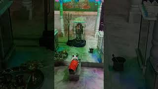 Bileshwar Mahadev darshan [upl. by Savart]