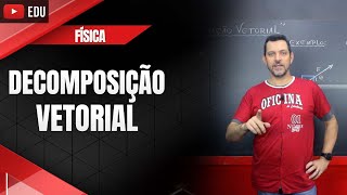 Decomposição Vetorial  Física  Oficina do Estudante [upl. by Eelinej]