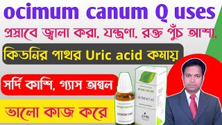 Ocimum Canum Homeopathic Medicine Ocimum canum mother tincture benefits [upl. by Bellda]