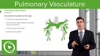 Pleura Anatomy 15  Thorax Anatomy [upl. by Thorvald]