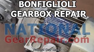 BonFiglioli Gearbox Repair [upl. by Risay]