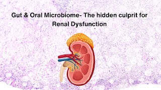 Gut amp Oral Microbiome The hidden culprit for Renal Dysfunction renaldisease kidneydisease [upl. by Dosi]