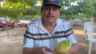 Prepare colache de calabacitas [upl. by Yamauchi]