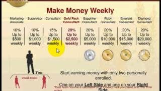 Organo Gold Pay Plan explained 2014 USA [upl. by Haleeuqa]