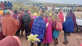 NGORONGORO KUMEKUCHA SAMIA UKO WAPI UNYANYAZAJI UMEZIDI KWA WANANCHI WA NGORONGORO [upl. by Harrie]