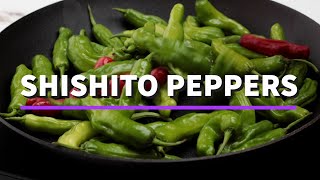 Blistered Shishito Peppers Recipe  Only 4 grams of carbs [upl. by Silma]