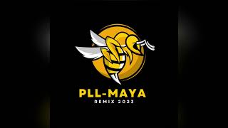 PLLmaya Remix974 2023 [upl. by Smail132]