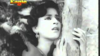 Chandani raatein pyar ki baatein  Lata  Jaal 1952 [upl. by Rois]