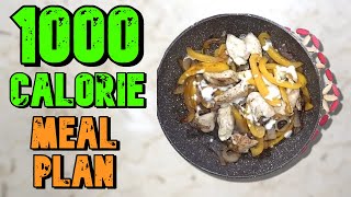 VERY Filling amp FAT Shredding 1000 Calorie Meal Plan [upl. by Anyt900]