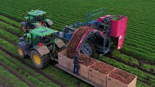 Wortels rooien  Carrot harvest  Möhren roden  John Deere  ASALIFT  New Holland  DeutzFahr [upl. by Ramgad10]