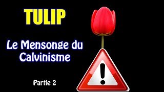 QuestionRéponse 6  Calvinisme Debunké Partie 2  Dernières objections calvinistes réfutées [upl. by Eahsram]