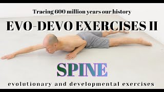 EvoDevo Exercises II  Spine [upl. by Nnaael473]