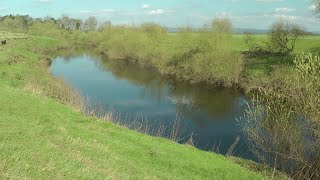 Leeds DASA River Swale Pickhill fishery [upl. by Haeluj]