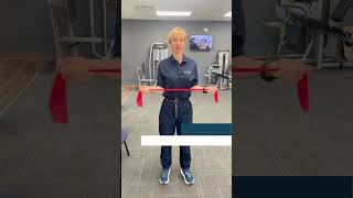 Rotator Cuff Strengthening Exercises [upl. by Adnol]