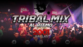 Tribal Mix Al Ritmo de Escapade 2001 Mix 2023  Dj Echo [upl. by Dj]