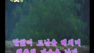 DPRK Music 810 그대가 걸어온 길은 The Road You Traveled [upl. by Eletnahs]